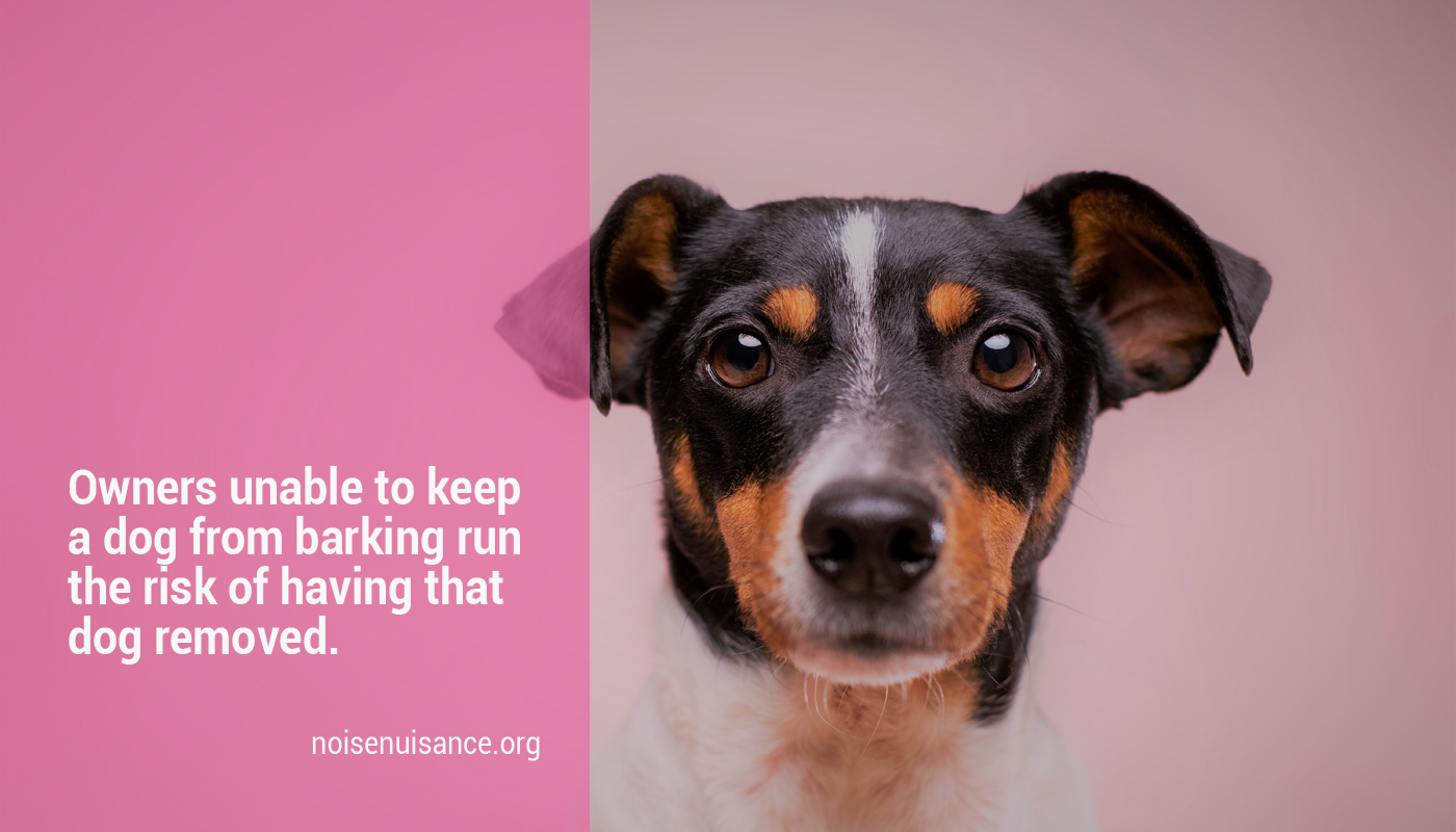 Dealing with noise from a neighbours barking dog.