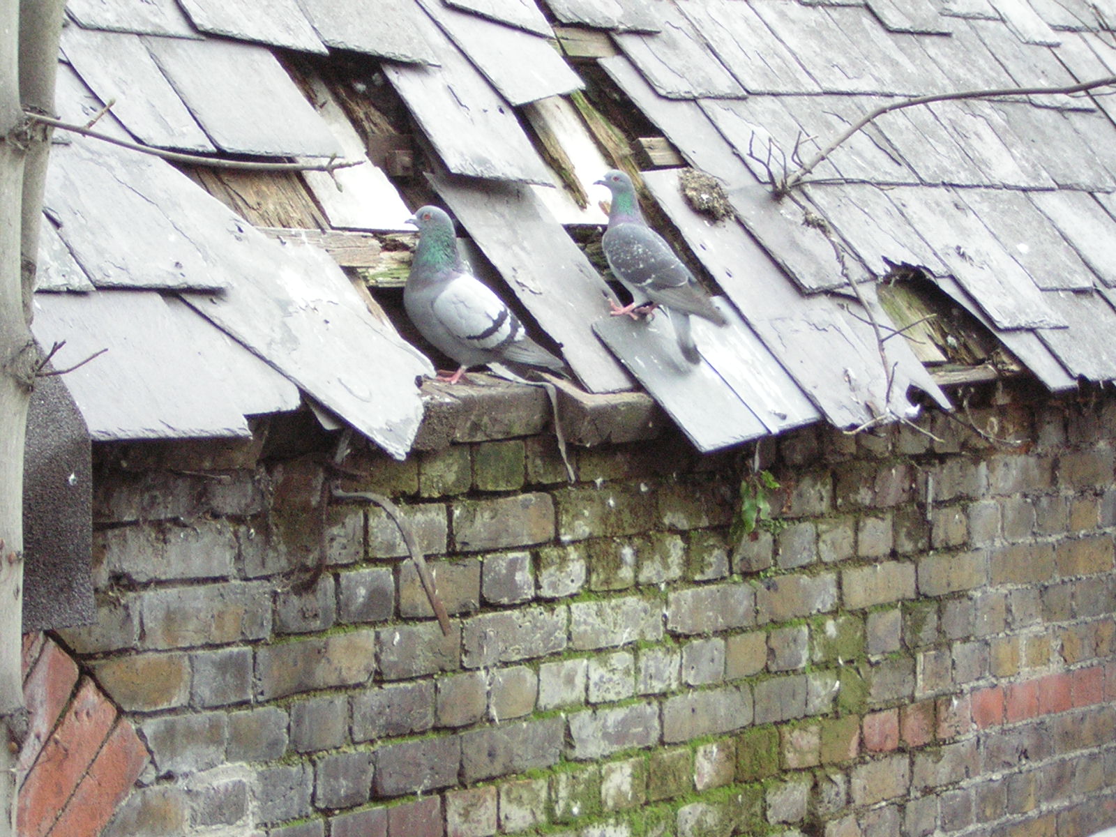 Nuisance properties and buildings